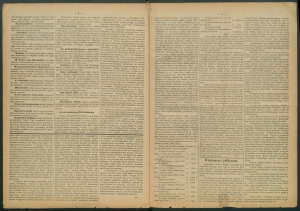 gazeta radomska-1885-21-00002